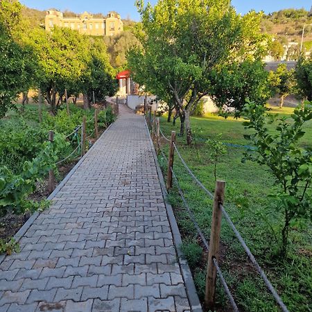 Ponte Romana Silves Bagian luar foto
